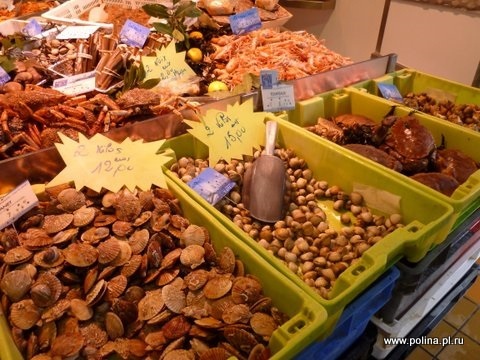 Средиземноморская кухня Ницца, Канны, Монако, Прованс. Традиционная кухня Франции, Бордо, дегустация сыра, морепродуктов и вина Бордо, Ницца, Прованс Средиземноморская кухня Ницца, Канны, Монако, Прованс. Традиционная кухня Франции, Бордо, дегустация сыра, морепродуктов и вина Бордо, Ницца, Прованс, посещение козьей фермы Прованс